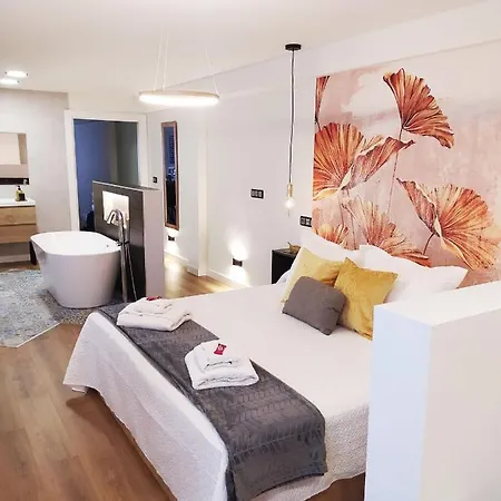 Lujoso Apartamento Centro De Oviede